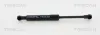 Gasfeder, Motorhaube TRISCAN 8710 20106 Bild Gasfeder, Motorhaube TRISCAN 8710 20106