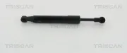 Gasfeder, Koffer-/Laderaum TRISCAN 8710 20204