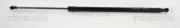 Gasfeder, Koffer-/Laderaum TRISCAN 8710 20206