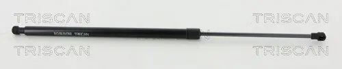 Gasfeder, Koffer-/Laderaum hinten links hinten rechts TRISCAN 8710 20208