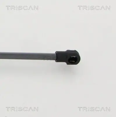 Gasfeder, Koffer-/Laderaum hinten links hinten rechts TRISCAN 8710 20208 Bild Gasfeder, Koffer-/Laderaum hinten links hinten rechts TRISCAN 8710 20208