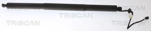 Gasfeder, Koffer-/Laderaum TRISCAN 8710 20301