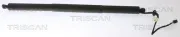 Gasfeder, Koffer-/Laderaum TRISCAN 8710 20301