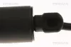 Gasfeder, Koffer-/Laderaum TRISCAN 8710 20301 Bild Gasfeder, Koffer-/Laderaum TRISCAN 8710 20301