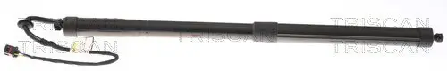 Gasfeder, Koffer-/Laderaum TRISCAN 8710 20303