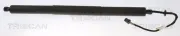 Gasfeder, Koffer-/Laderaum TRISCAN 8710 20304