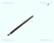 Gasfeder, Koffer-/Laderaum hinten links hinten rechts TRISCAN 8710 21202