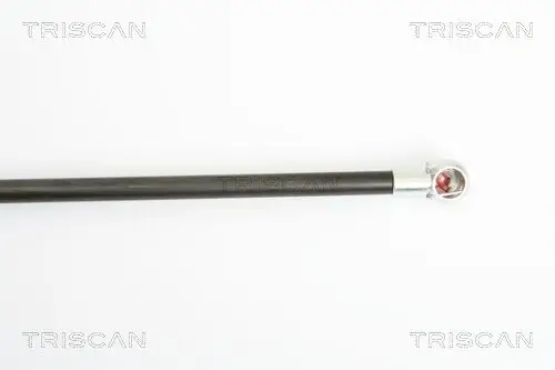 Gasfeder, Koffer-/Laderaum TRISCAN 8710 21206 Bild Gasfeder, Koffer-/Laderaum TRISCAN 8710 21206