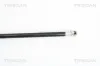 Gasfeder, Koffer-/Laderaum TRISCAN 8710 21207 Bild Gasfeder, Koffer-/Laderaum TRISCAN 8710 21207