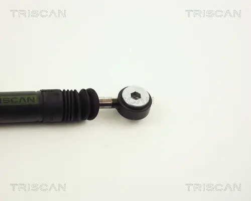 Schwingungsdämpfer, Keilrippenriemen TRISCAN 8710 2310 Bild Schwingungsdämpfer, Keilrippenriemen TRISCAN 8710 2310