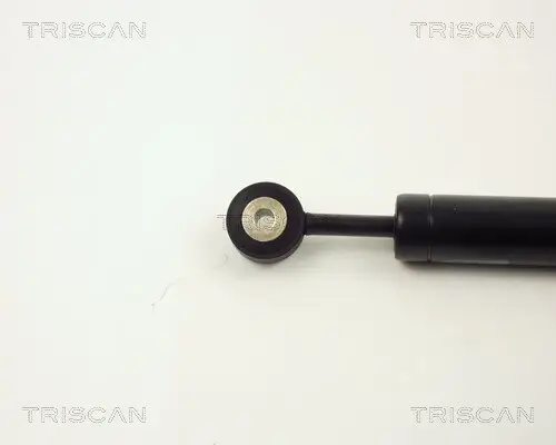 Schwingungsdämpfer, Keilrippenriemen TRISCAN 8710 2311 Bild Schwingungsdämpfer, Keilrippenriemen TRISCAN 8710 2311