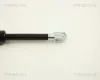 Gasfeder, Koffer-/Laderaum TRISCAN 8710 2312 Bild Gasfeder, Koffer-/Laderaum TRISCAN 8710 2312