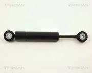 Schwingungsdämpfer, Keilrippenriemen TRISCAN 8710 2313
