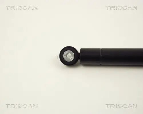 Schwingungsdämpfer, Keilrippenriemen TRISCAN 8710 2313 Bild Schwingungsdämpfer, Keilrippenriemen TRISCAN 8710 2313