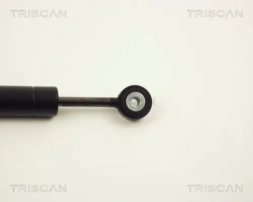 Schwingungsdämpfer, Keilrippenriemen TRISCAN 8710 2313 Bild Schwingungsdämpfer, Keilrippenriemen TRISCAN 8710 2313