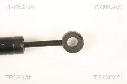 Schwingungsdämpfer, Keilrippenriemen TRISCAN 8710 2317 Bild Schwingungsdämpfer, Keilrippenriemen TRISCAN 8710 2317