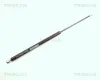 Gasfeder, Koffer-/Laderaum TRISCAN 8710 23202