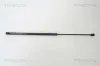 Gasfeder, Koffer-/Laderaum hinten links hinten rechts TRISCAN 8710 23211