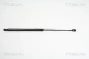 Gasfeder, Koffer-/Laderaum TRISCAN 8710 23213