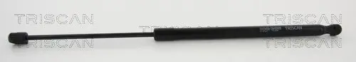 Gasfeder, Koffer-/Laderaum TRISCAN 8710 23227