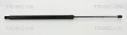 Gasfeder, Koffer-/Laderaum TRISCAN 8710 23249