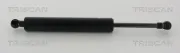 Gasfeder, Koffer-/Laderaum hinten links TRISCAN 8710 23294