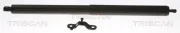 Gasfeder, Koffer-/Laderaum hinten links TRISCAN 8710 23307
