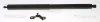 Gasfeder, Koffer-/Laderaum hinten rechts TRISCAN 8710 23308