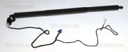 Gasfeder, Koffer-/Laderaum hinten links TRISCAN 8710 23315