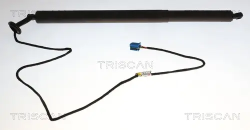 Gasfeder, Koffer-/Laderaum rechts TRISCAN 8710 23321