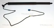 Gasfeder, Koffer-/Laderaum rechts TRISCAN 8710 23321