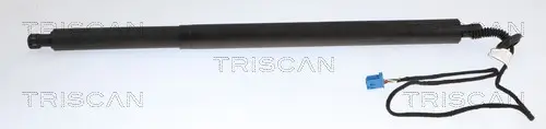 Gasfeder, Koffer-/Laderaum links TRISCAN 8710 23324