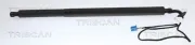 Gasfeder, Koffer-/Laderaum links TRISCAN 8710 23324