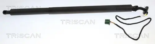 Gasfeder, Koffer-/Laderaum rechts TRISCAN 8710 23325