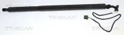 Gasfeder, Koffer-/Laderaum rechts TRISCAN 8710 23325
