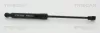 Gasfeder, Motorhaube vorne links vorne rechts TRISCAN 8710 24109 Bild Gasfeder, Motorhaube vorne links vorne rechts TRISCAN 8710 24109