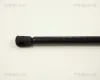 Gasfeder, Koffer-/Laderaum TRISCAN 8710 24217 Bild Gasfeder, Koffer-/Laderaum TRISCAN 8710 24217
