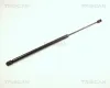 Gasfeder, Koffer-/Laderaum hinten links hinten rechts TRISCAN 8710 24220