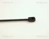 Gasfeder, Koffer-/Laderaum TRISCAN 8710 24225 Bild Gasfeder, Koffer-/Laderaum TRISCAN 8710 24225