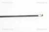 Gasfeder, Koffer-/Laderaum TRISCAN 8710 24232 Bild Gasfeder, Koffer-/Laderaum TRISCAN 8710 24232