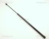 Gasfeder, Koffer-/Laderaum TRISCAN 8710 2428 Bild Gasfeder, Koffer-/Laderaum TRISCAN 8710 2428