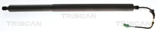 Gasfeder, Koffer-/Laderaum TRISCAN 8710 24302