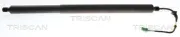 Gasfeder, Koffer-/Laderaum TRISCAN 8710 24302