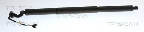 Gasfeder, Koffer-/Laderaum hinten links TRISCAN 8710 24303