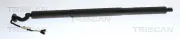 Gasfeder, Koffer-/Laderaum hinten links TRISCAN 8710 24303