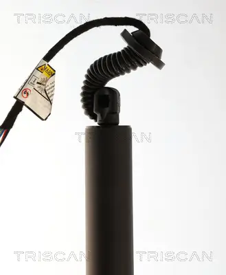 Gasfeder, Koffer-/Laderaum hinten links TRISCAN 8710 24303 Bild Gasfeder, Koffer-/Laderaum hinten links TRISCAN 8710 24303