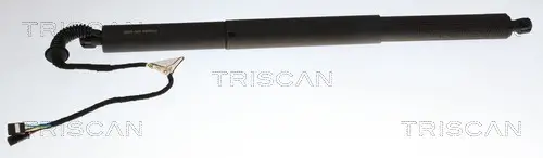 Gasfeder, Koffer-/Laderaum links TRISCAN 8710 24306