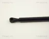 Gasfeder, Koffer-/Laderaum TRISCAN 8710 2504 Bild Gasfeder, Koffer-/Laderaum TRISCAN 8710 2504