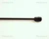 Gasfeder, Koffer-/Laderaum TRISCAN 8710 25206 Bild Gasfeder, Koffer-/Laderaum TRISCAN 8710 25206