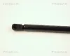 Gasfeder, Koffer-/Laderaum TRISCAN 8710 25210 Bild Gasfeder, Koffer-/Laderaum TRISCAN 8710 25210